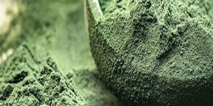 Dry Spirulina Powder