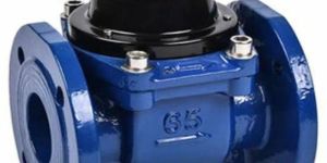 Industrial Water Meters