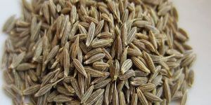 a Grade Cumin Seeds