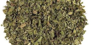 Dehydrated Coriander Leaves