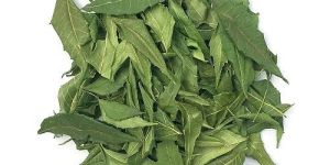 Dehydrated Neem Leaves