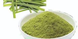 Dried Lemongrass Powder