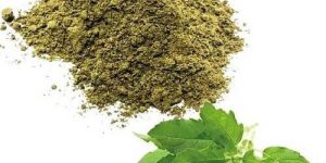 Dried Tulsi Powder