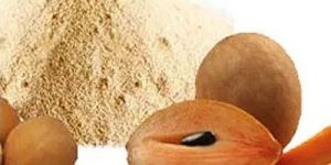 Spray Dried Sapota Powder