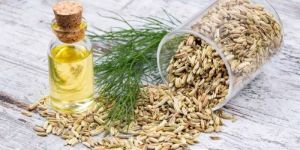 Fennel Oil