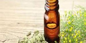 Fennel Oleoresin