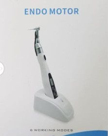 Endo Motor