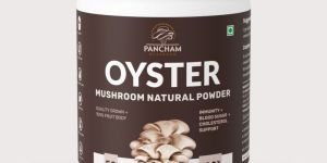 Oyster Mushroom Powder Chocolate Flavour