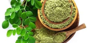 Moringa Powder