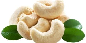 Cashew Nuts