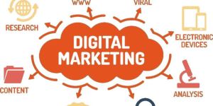 Search Engine Optimization Services