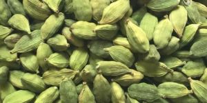 Green Cardamom