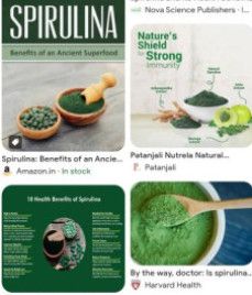 Organic Spirulina Powder