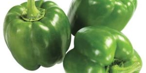 Green Capsicum