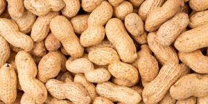 Whole Groundnut