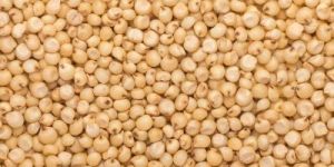 A Grade Organic Sorghum Millet