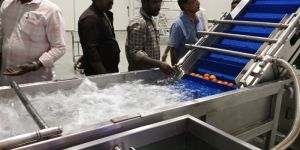 Banana Powder Processing Plant