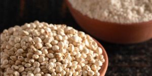 Sorghum Millet
