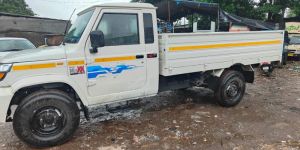 Domestic Cargo Transportation Service