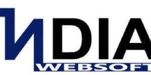 Website Development Services