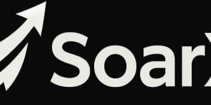 Reverse Auction Services