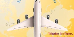 Air Travel Services
