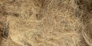 Coir Fiber