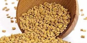 Bold Fenugreek Seeds