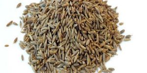 Europe Quality Cumin Seeds