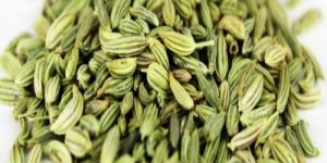 Europe Quality Fennel Seeds