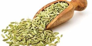 Natural Green Bold Fennel Seeds