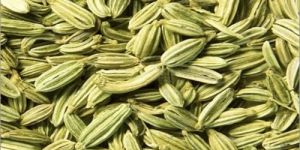 Singapore Quality Fennel Seeds