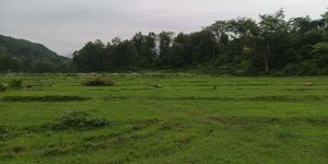 House Selling Services