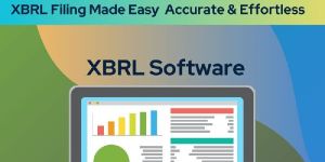 Xbrl Software