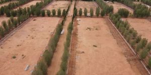 Residential Plots