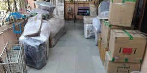 Car Transportation Services