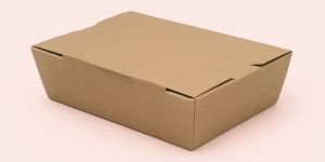 Paper Food Boxes