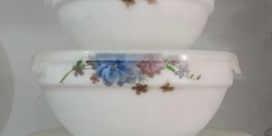 Glass Dinner Bowls