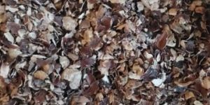 Cashew Husk