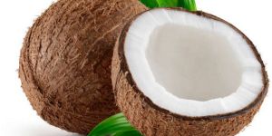 Coconut