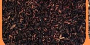 Black Rice