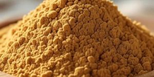 Dehydrated Ginger Powder