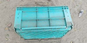 Fish Box