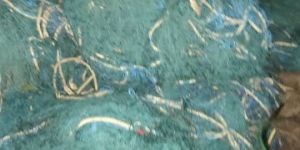 Nylon Fishing Nets