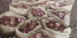 Onion