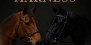 Horse Riding Harness Set