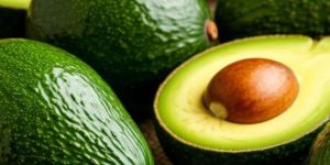 Fresh Avocado Fruit