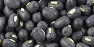 Black Urad Beans