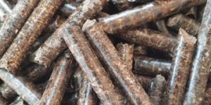 Biomass Pellet