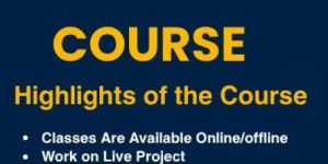 SEO Training